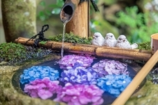 株式会社JSフードシステムのプレスリリース画像3