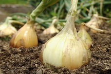 株式会社ビープラウドのプレスリリース画像5