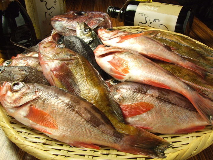 株式会社エフ・エフ・アルファ/淡路島と喰らえのプレスリリース画像8