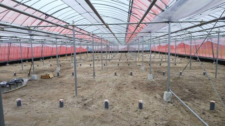 グリーンリバーホールディングス株式会社のプレスリリース画像6