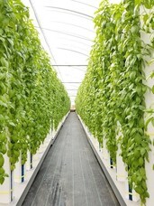 グリーンリバーホールディングス株式会社のプレスリリース画像2