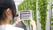 グリーンリバーホールディングス株式会社のプレスリリース画像3