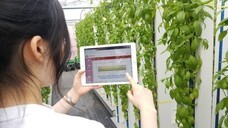 グリーンリバーホールディングス株式会社のプレスリリース画像3