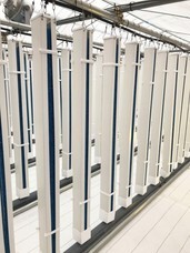 グリーンリバーホールディングス株式会社のプレスリリース画像2