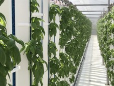 グリーンリバーホールディングス株式会社のプレスリリース画像3