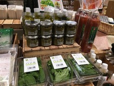 グリーンリバーホールディングス株式会社のプレスリリース画像2