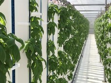 グリーンリバーホールディングス株式会社のプレスリリース画像2