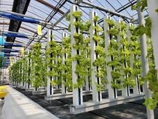 グリーンリバーホールディングス株式会社のプレスリリース画像4