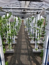 グリーンリバーホールディングス株式会社のプレスリリース画像2