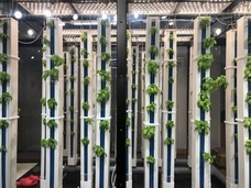 グリーンリバーホールディングス株式会社のプレスリリース画像2