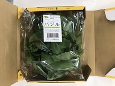 グリーンリバーホールディングス株式会社のプレスリリース画像3