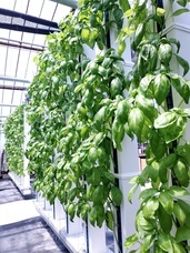 グリーンリバーホールディングス株式会社のプレスリリース画像1