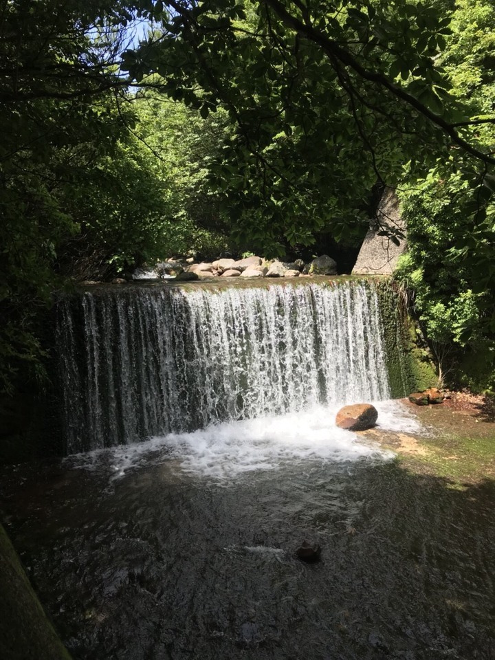 有限会社　くす無憂扇のプレスリリース画像8