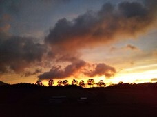 有限会社　くす無憂扇のプレスリリース画像6