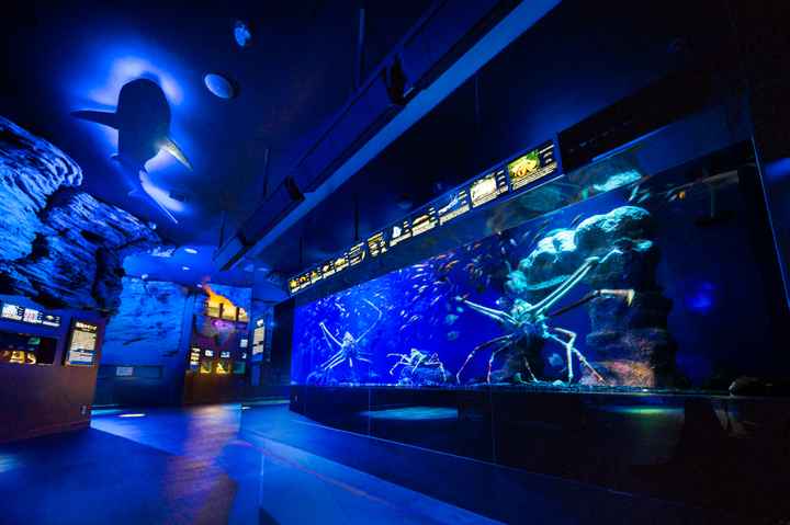 佐政水産株式会社/港八十三番地のプレスリリース画像4