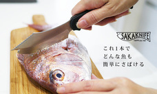 株式会社ソリッドアライアンスのプレスリリース画像1