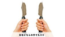 株式会社ソリッドアライアンスのプレスリリース画像2