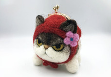 株式会社ソリッドアライアンスのプレスリリース画像1