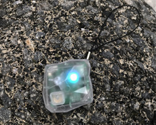 株式会社ソリッドアライアンスのプレスリリース画像1