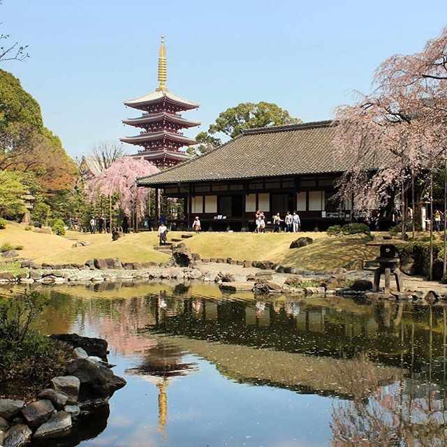 株式会社　下町ップロのプレスリリース画像4