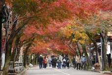 「清流の国ぎふ」めぐる旅キャンペーン事務局のプレスリリース画像2