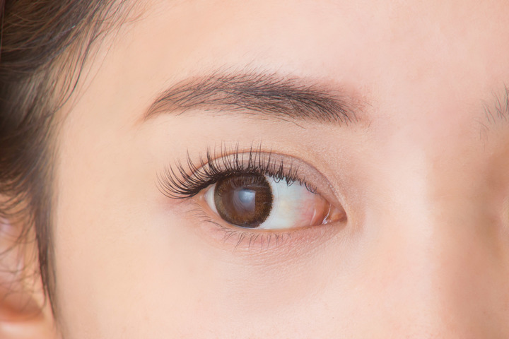 株式会社松風のプレスリリース画像1