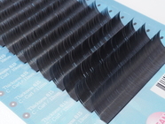 株式会社松風のプレスリリース画像6