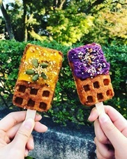 ジャパンリゾート株式会社のプレスリリース