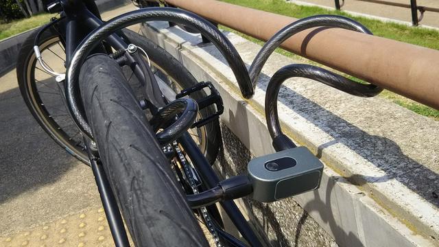 ADZUKI TRADINGのプレスリリース画像9