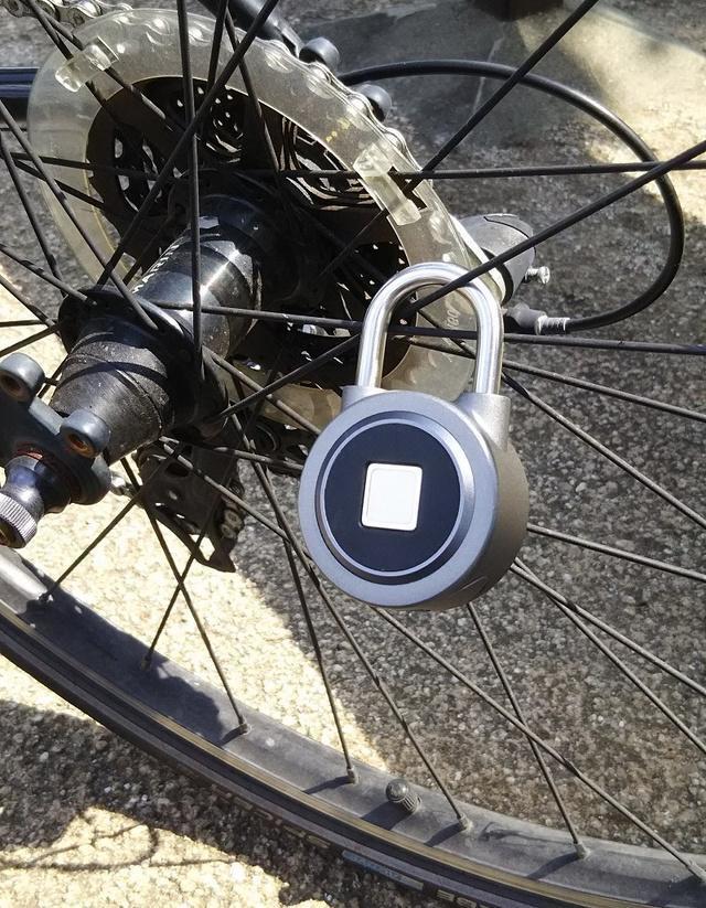 ADZUKI TRADINGのプレスリリース画像10