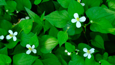 伊豆半島合同会社のプレスリリース画像3