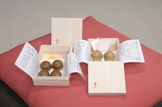 伊豆半島合同会社のプレスリリース