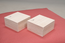 伊豆半島合同会社のプレスリリース画像2