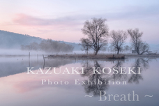 小関一成のプレスリリース