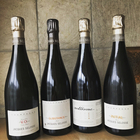 336ebisuのプレスリリース画像1