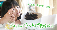 株式会社ダブルノットのプレスリリース3
