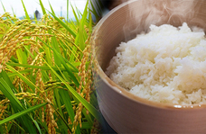 株式会社ダブルノットのプレスリリース画像1