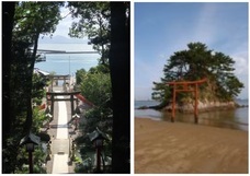 SMILE SCORE株式会社のプレスリリース画像2