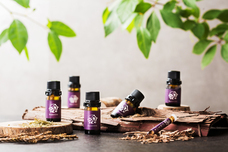 日本産精油の新しいかたち”かおりと”のプレスリリース