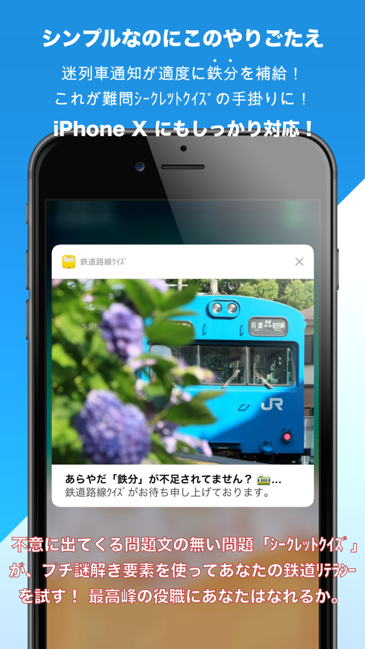 西島 和希のプレスリリース画像1