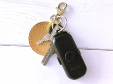 Rasical Japan（ラシカルジャパン）合同会社のプレスリリース画像3