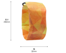 Rasical Japan（ラシカルジャパン）合同会社のプレスリリース画像9