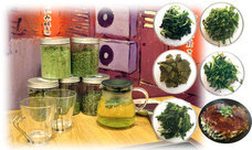 さくら亭のプレスリリース画像4