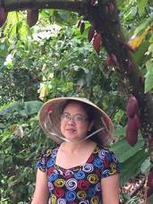 ティードリームネットワークスのプレスリリース画像5