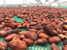 ティードリームネットワークスのプレスリリース画像4