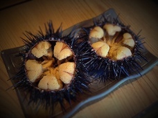 鮨DINING 藤のプレスリリース画像1