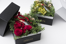 レフレシール キョウコ フジタのプレスリリース画像1