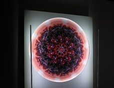 株式会社デジタルコマースのプレスリリース画像2