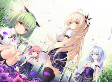 株式会社デジタルコマースのプレスリリース画像9