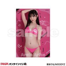 株式会社デジタルコマースのプレスリリース画像3